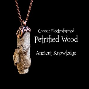 Petrified Wood Pendant, Ancient Knowledge Electroformed Copper Necklace, Statement Necklace, OOAK