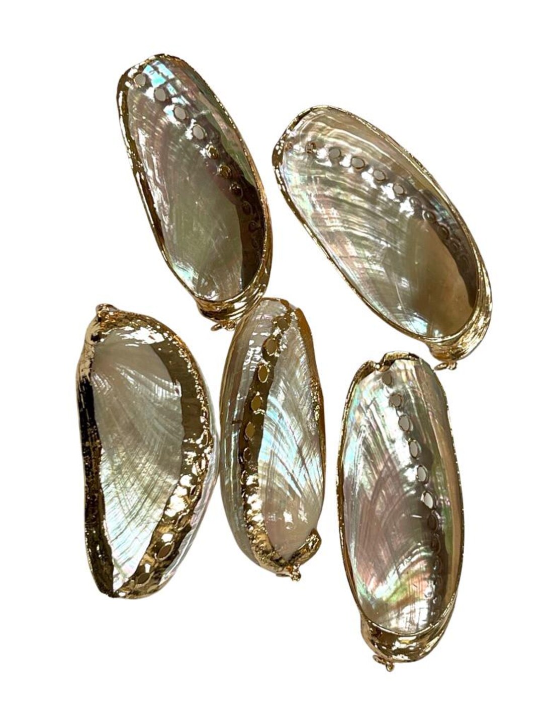 Plated Shells 5 Pieces Cowrie Seashell Charm, 5 Pc Gold Plated Seashells, Scallop ...
