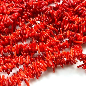 Puede incluir: Una hebra de cuentas de coral rojo brillante, cada cuenta es una pequeña rama de coral irregular. Las cuentas están dispuestas en un patrón suelto y fluido.