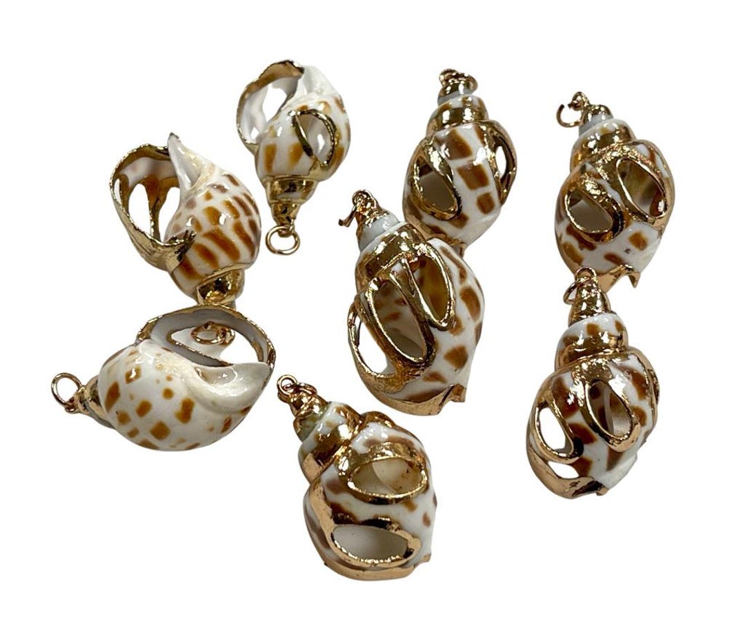 5 Pieces Cowrie Seashell Charm, 5 Pc Gold Plated Seashells, Scallop ...