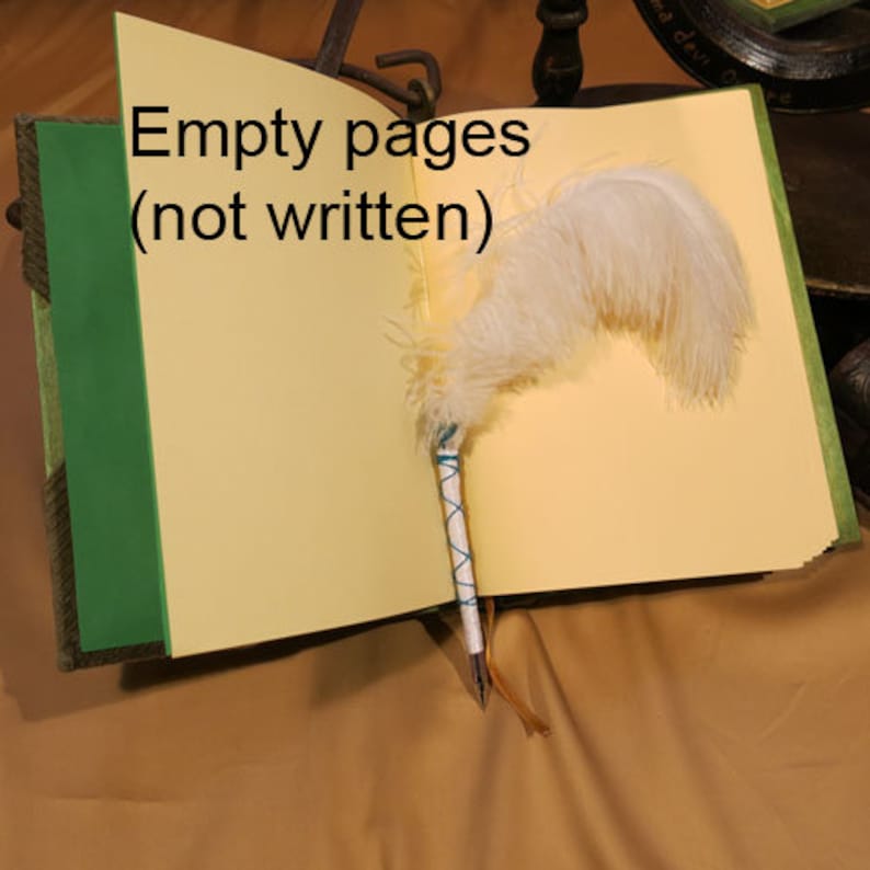 May include: A green leather-bound journal with blank pages and a white feather quill pen. The text "Empty pages (not written)" is visible on the cover.