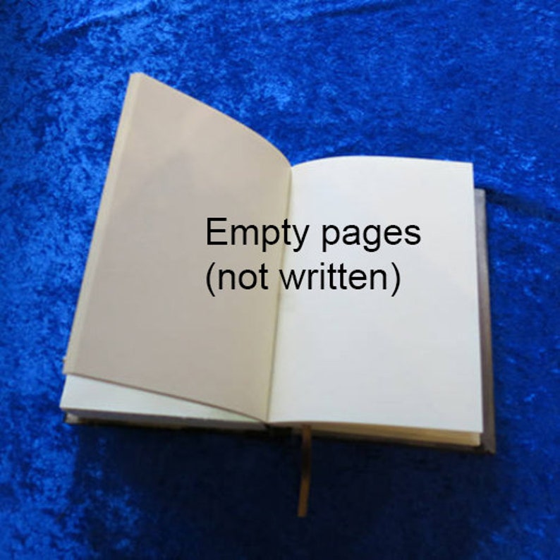 Puede incluir: Un diario encuadernado en cuero marr&oacute;n con p&aacute;ginas en blanco. El diario est&aacute; abierto para mostrar las p&aacute;ginas vac&iacute;as. El texto "P&aacute;ginas vac&iacute;as (no escritas)" est&aacute; impreso en las p&aacute;ginas.