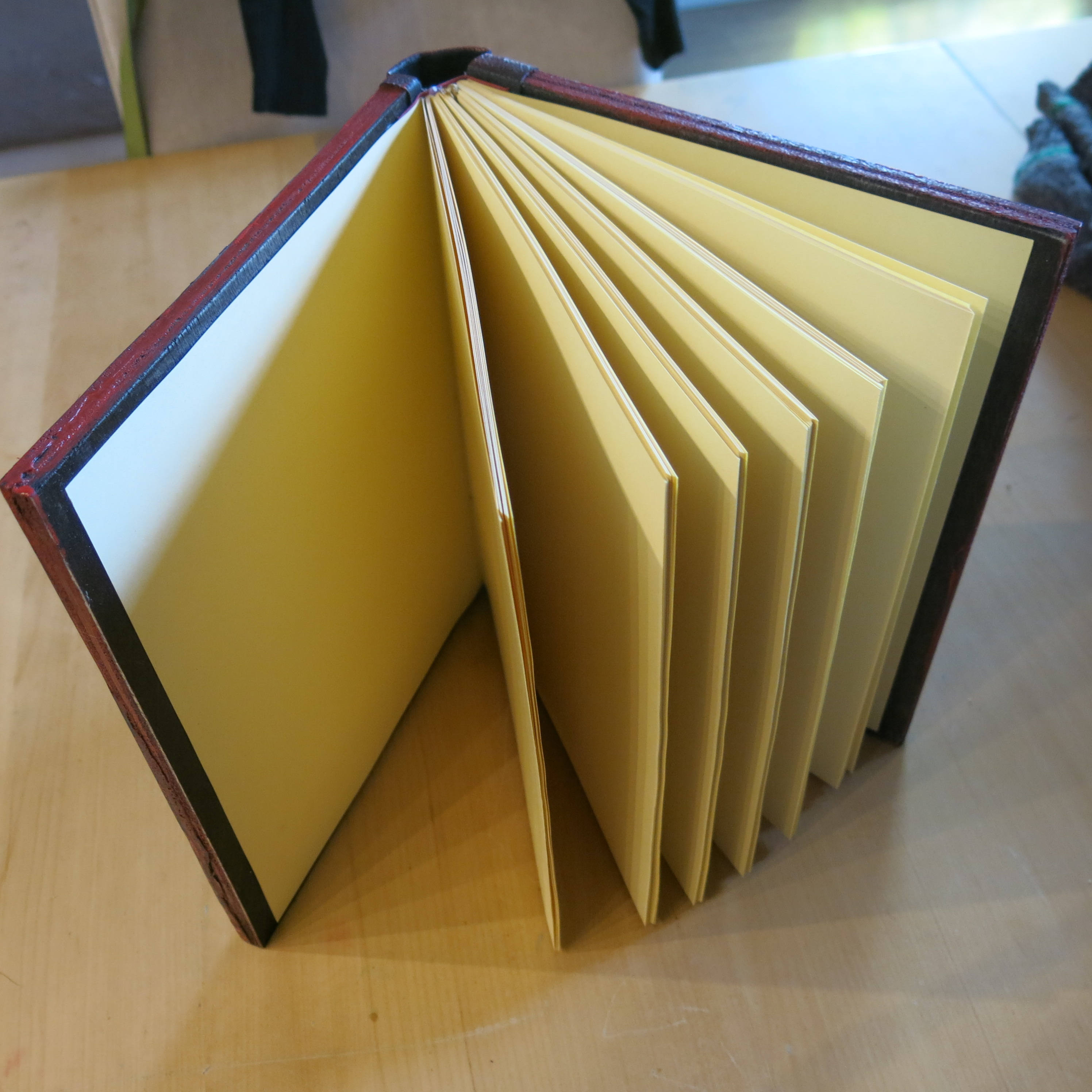 Vampire Book Big Book Etsy