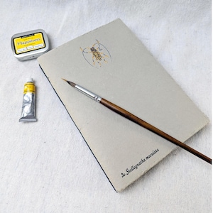 Nature Journal for Gouache with 3 colours of paper, A5+, 96pages, Cold Press, Cotton Rag Paper, Perfect as a Nature Journal, Eco-Friendly