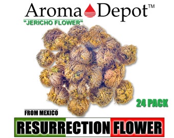 May include: A 24 pack of dried Resurrection Flower, also known as Jericho Flower, from Mexico. The flowers are brown and resemble small, dried balls.