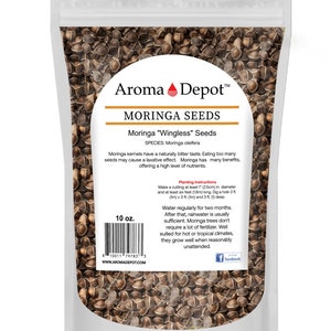 Wingless Moringa Seeds, 100% Pure, Natural Oleifera image 7