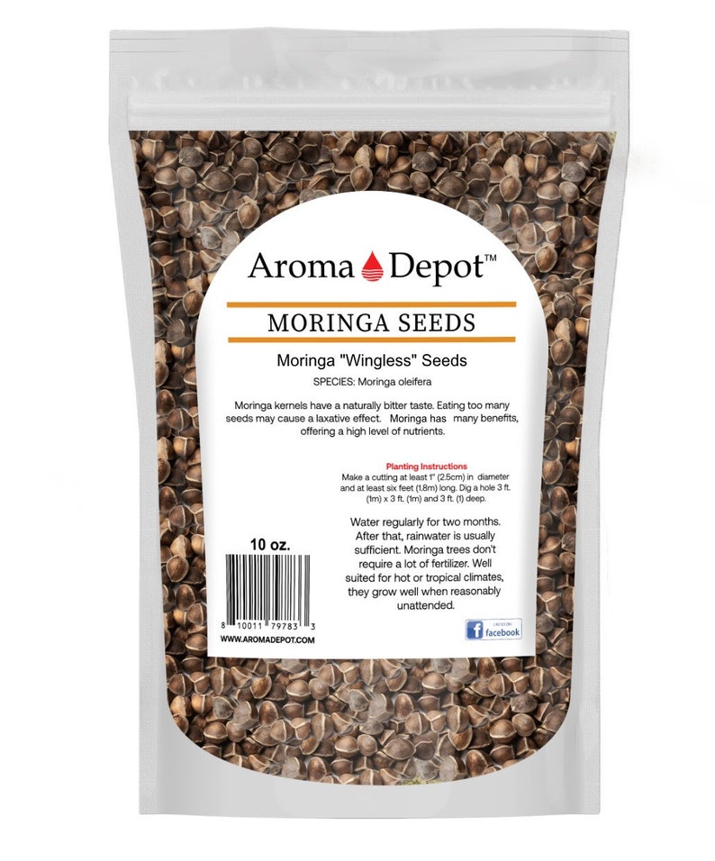 Moringa Seeds 100% Pure Natural Oleifera FREE SHIPPING U.S.A Seller 10 oz