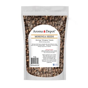 Wingless Moringa Seeds, 100% Pure, Natural Oleifera image 5
