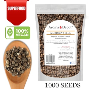 Moringa Seeds, 1000 Whole WINGLESS 10 oz. 100% Pure Natural Oleifera FREE SHIPPING! U.S.A Seller