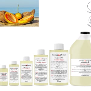 Beach Set of 6 Premium Grade Fragrance Oils - Ocean Breeze, Papaya, Pina Colada, Mango, Pineapple, and Night Air