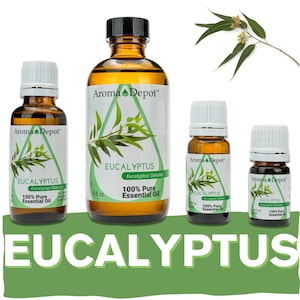 Eucalyptus Essential Oil 100% Pure Natural Therapeutic Grade, Eucalyptus globules, Aromatherapy, Skin, Candle Making, & Diffuser. Wholesale