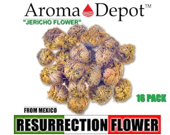May include: A 16 pack of dried brown Resurrection Flower, also known as Jericho Flower, from Mexico. The flowers are in a ball shape and are arranged in a pile.