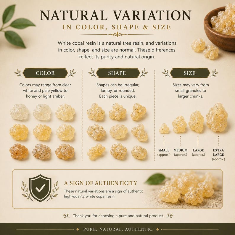 Pu&ograve; includere: Immagine che mostra la resina di copale bianca, evidenziando le sue variazioni naturali di colore, forma e dimensione. La resina varia dal bianco trasparente all'ambra, con forme irregolari. Le dimensioni variano da piccoli granuli a pezzi pi&ugrave; grandi. Testo: "Variazione Naturale".