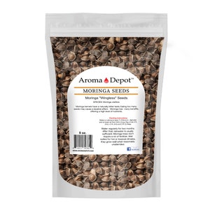 Wingless Moringa Seeds, 100% Pure, Natural Oleifera image 6