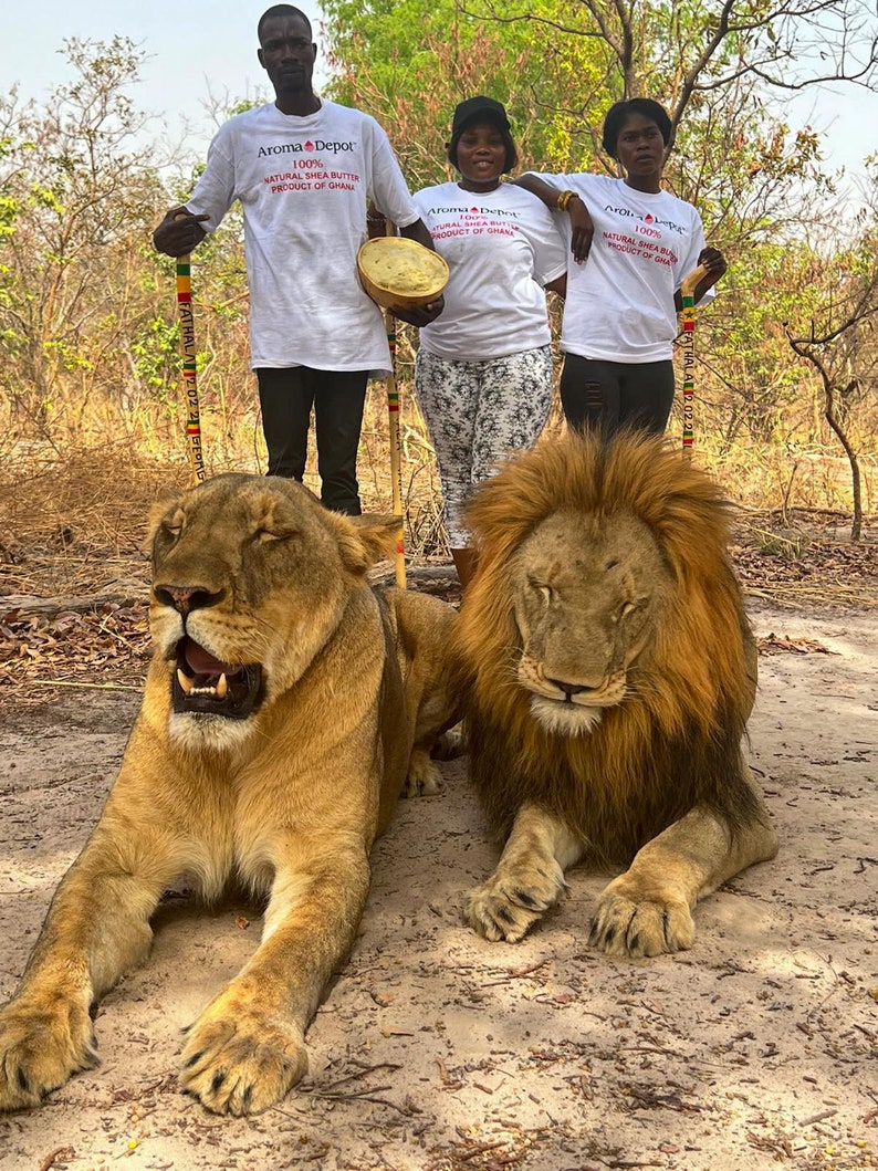 African Shea Butter Yellow or Ivory 100% Pure Organic Natural Raw Grade A Unrefined Wholesale Imported from Ghana. Aroma Depot Shea Butter is 100% Unrefined with an oily, nutty, smoky scent. Butyrospermum parkii. Shea Butter for Budy, Skin, and Hair.