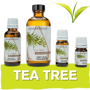 Tea Tree Essential Oil 100% Pure Natural Therapeutic Grade, Melaleuca alternifolia, Aromatherapy, Skin, Candle Making, & Diffuser. Wholesale