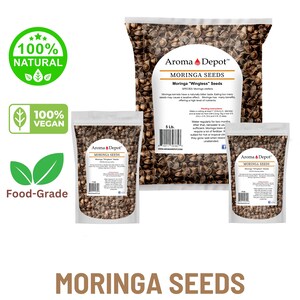 Wingless Moringa Seeds, 100% Pure, Natural Oleifera image 2