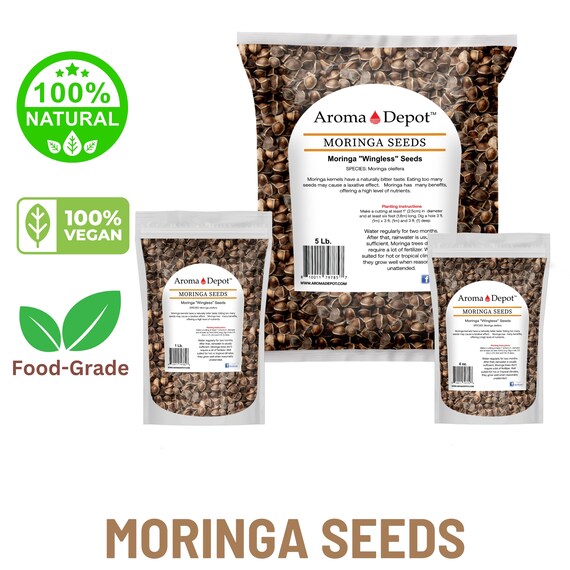 Wingless Moringa Seeds, 100% Pure, Natural Oleifera