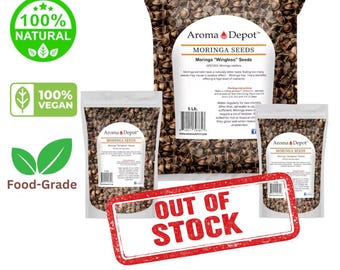 Wingless Moringa Seeds, 100% Pure, Natural Oleifera