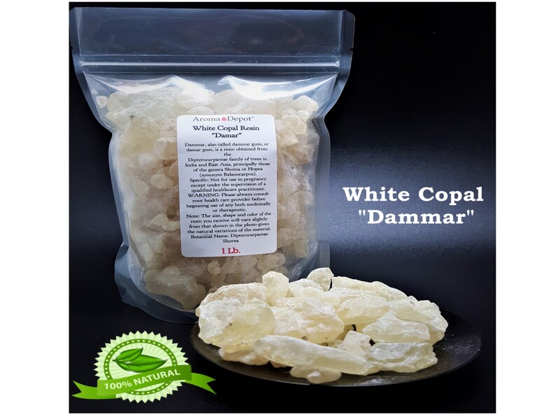 1lb White Copal Damar. Tear Gum Rock Incense Olibanum Gum Etsy
