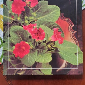 Vintage Houseplant Care Book The American Horticultural Society Illustrated Encyclopedia of Gardening Botanical Gift Book for Gardener