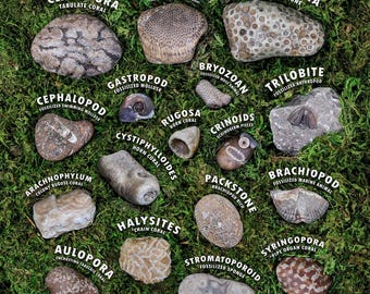 Michigan rocks