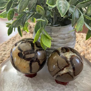 Septarian Spheres