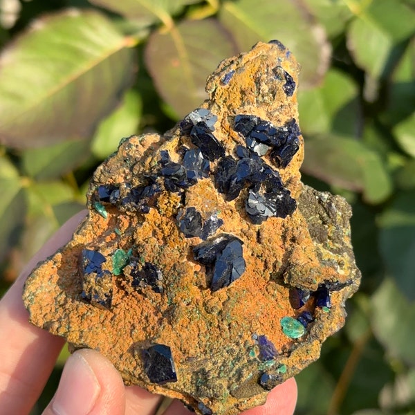 Azurite with minor Malachite - Bisbee, Arizona - Fine Minerals - Mineral Specimens - Old Stock Minerals - Azurite - Malachite - Blue Crystal