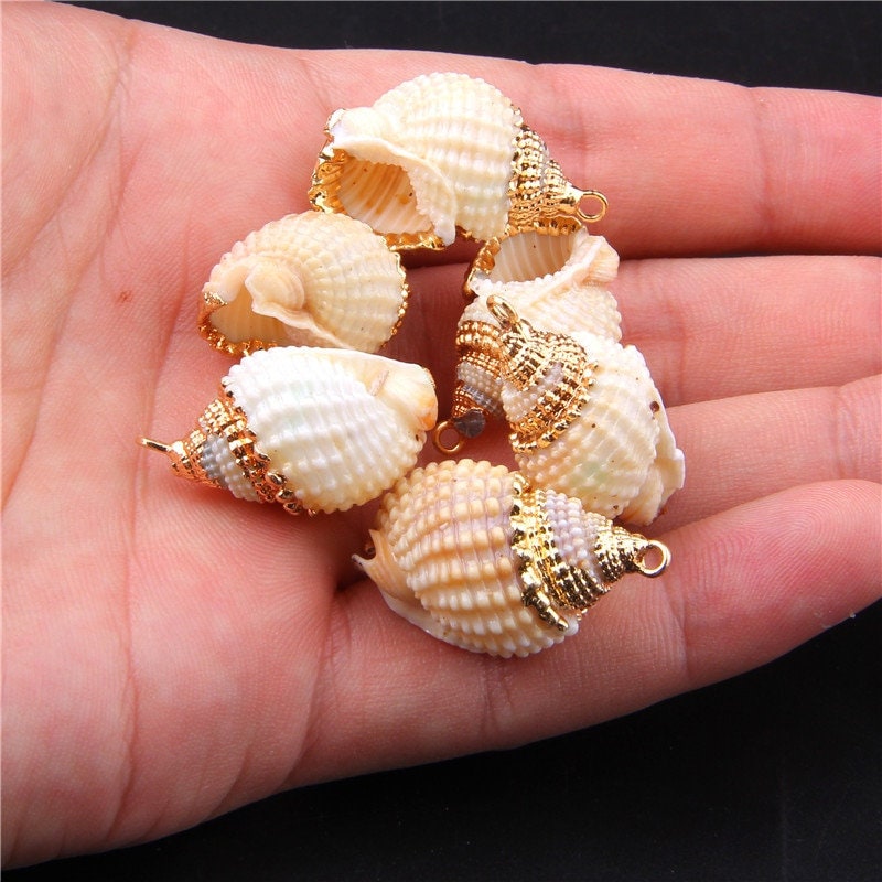 3 Stücke natürliche Muscheln Muscheln Charme vergoldete | Etsy