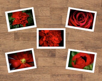 Red Floral Flowers Folded Blank Embossed Greeting Note Card Set of 5 - Photography Gifts Stationery
