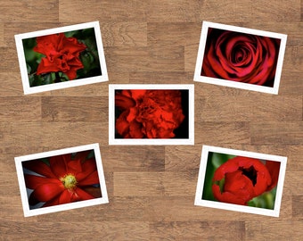 Red Floral Flowers Folded Blank Embossed Greeting Note Card Set of 5 - Photography Gifts Stationery