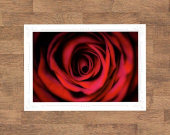 Red Rose | Floral Flowers Flora Botanical Folded Blank Embossed Greeting Note Card - Photography Gifts Stationery