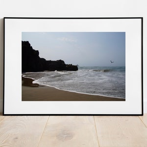 Beach Bird in Flight Ocean Tide Oregon Seascape Landscape Pacific Northwest PNW - Wall Art Photograph Print