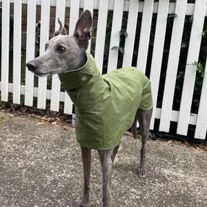 Whippet / Italian Greyhound Coat - The Paddington in Green
