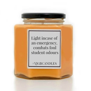 Gift For A Student, Candle, Offensive Gift, Rude Gift, Cheeky Gift, Funny Gift, Sarcastic Gift, Scented Candle, Candles, Insulting Gift