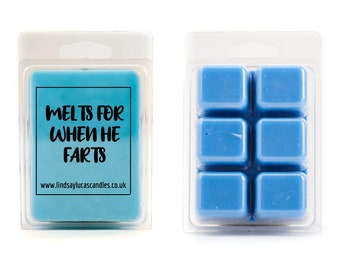 Melts For When He Farts Funny Swearing Soy Wax Melt. LOTS OF SCENTS