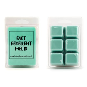Fart Repellent Funny Swearing Soy Wax Melt. LOTS OF SCENTS