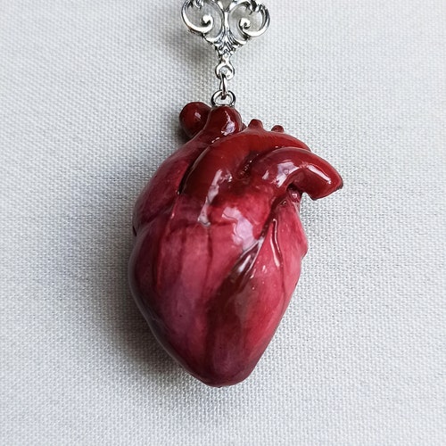 Anatomical Heart Necklace Bronze Anatomical Heart Pendant Etsy