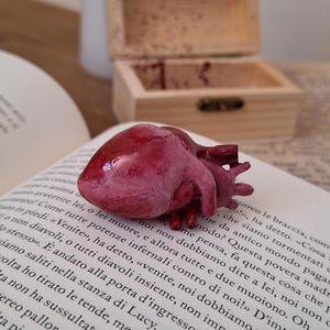Handmade Anatomical Heart in Box – Gothic Home Decor