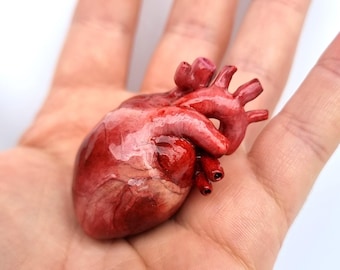 Handmade Anatomical Heart in Box – Gothic Home Decor