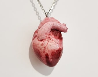 Handmade Realistic Anatomical Heart Necklace – Gothic Jewelry, Dark Statement Pendant with Stainless Steel Chain
