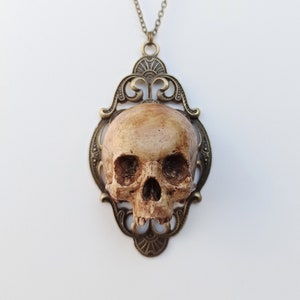 Skull necklace, gothic necklace, oddities jewelry, macabre jewelry, skull jewelry, memento mori