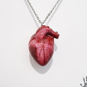 Handmade Anatomical heart pendant with stainless steel chain