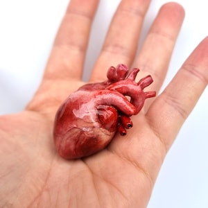 Handmade Anatomical Heart–Anniversary Gothic Gift