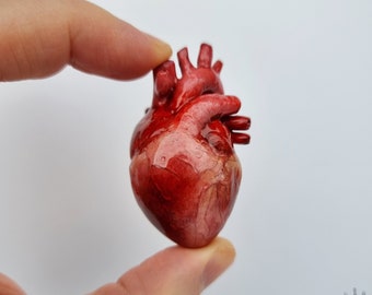 Scatola con cuore anatomico realizzato e dipinto a mano