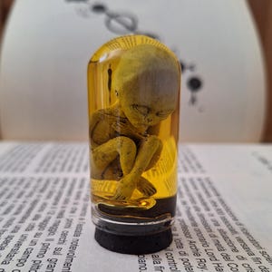 Alien Specimen 51-A, Preserved Alien Specimen, Cabinet of Curiosities Decor