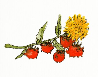 Tomatoes & Dandelion - Print