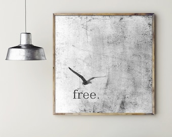 Poster: free, grey