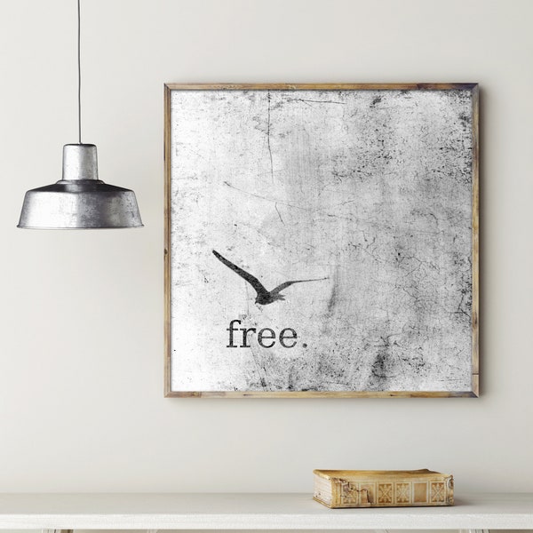 Poster: free, grey