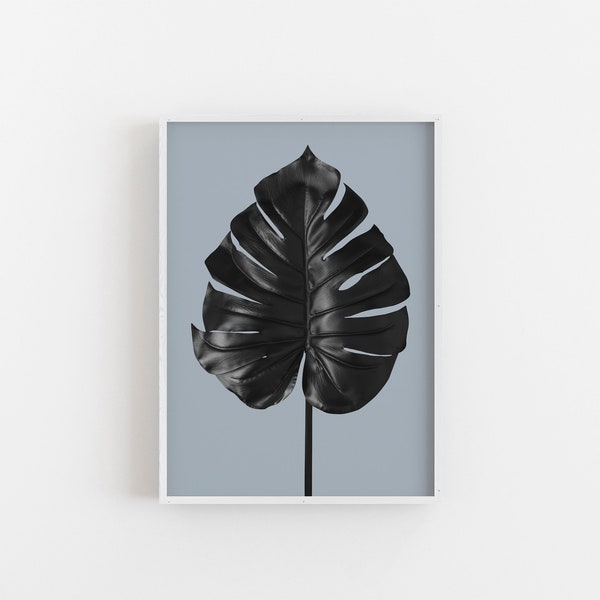 Poster: monstera, blue passion